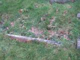 image of grave number 125140